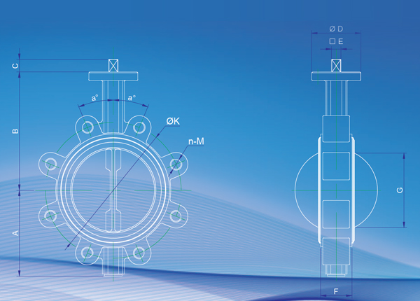 Lugged Butterfly Valve