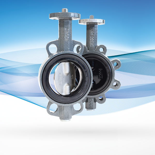 Butterfly Valve Overview