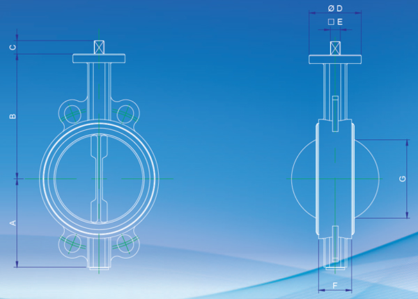 Butterfly Valve Wafer